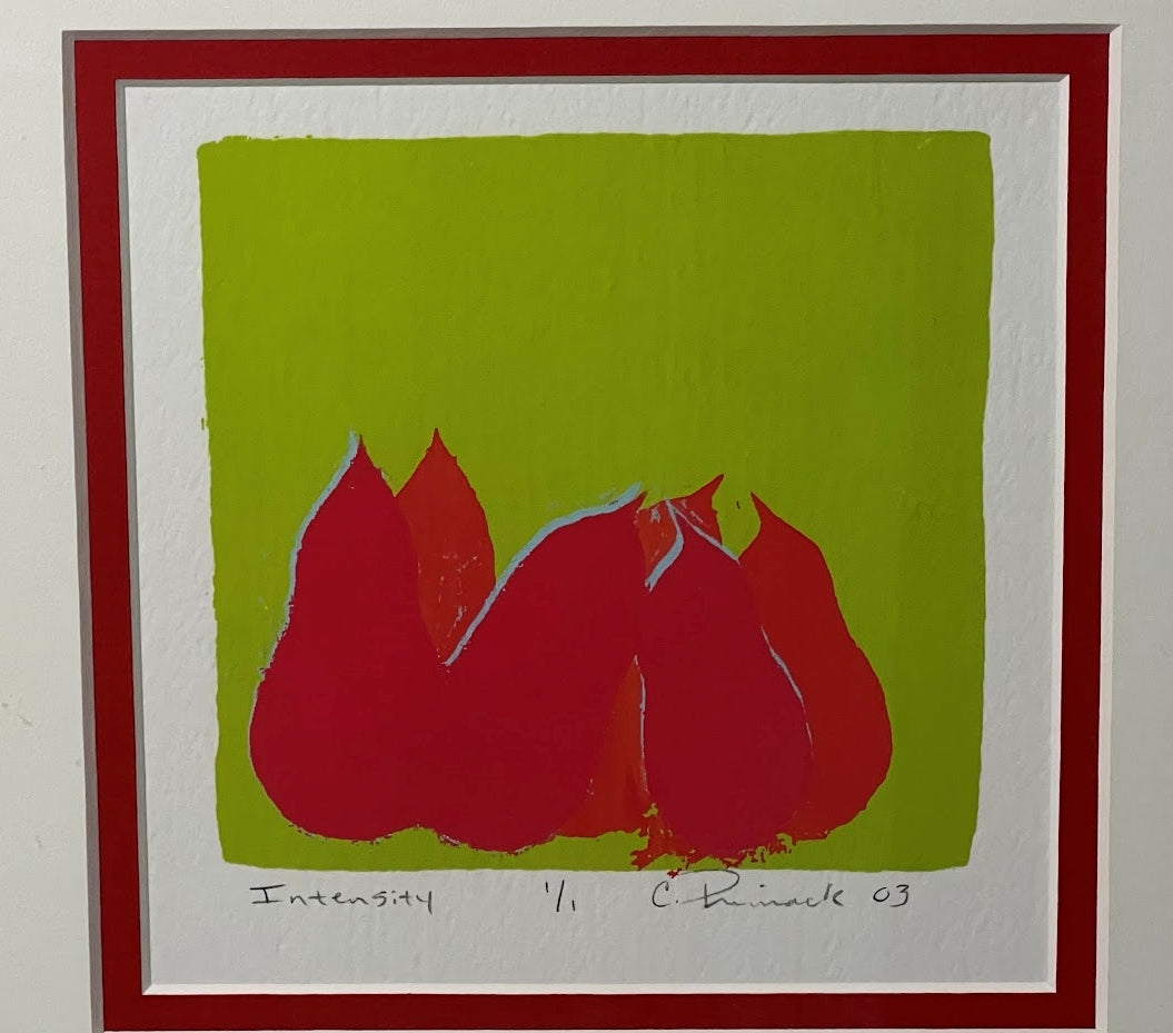 Oregon Artist Candace Primack Framed Print signed n frame
