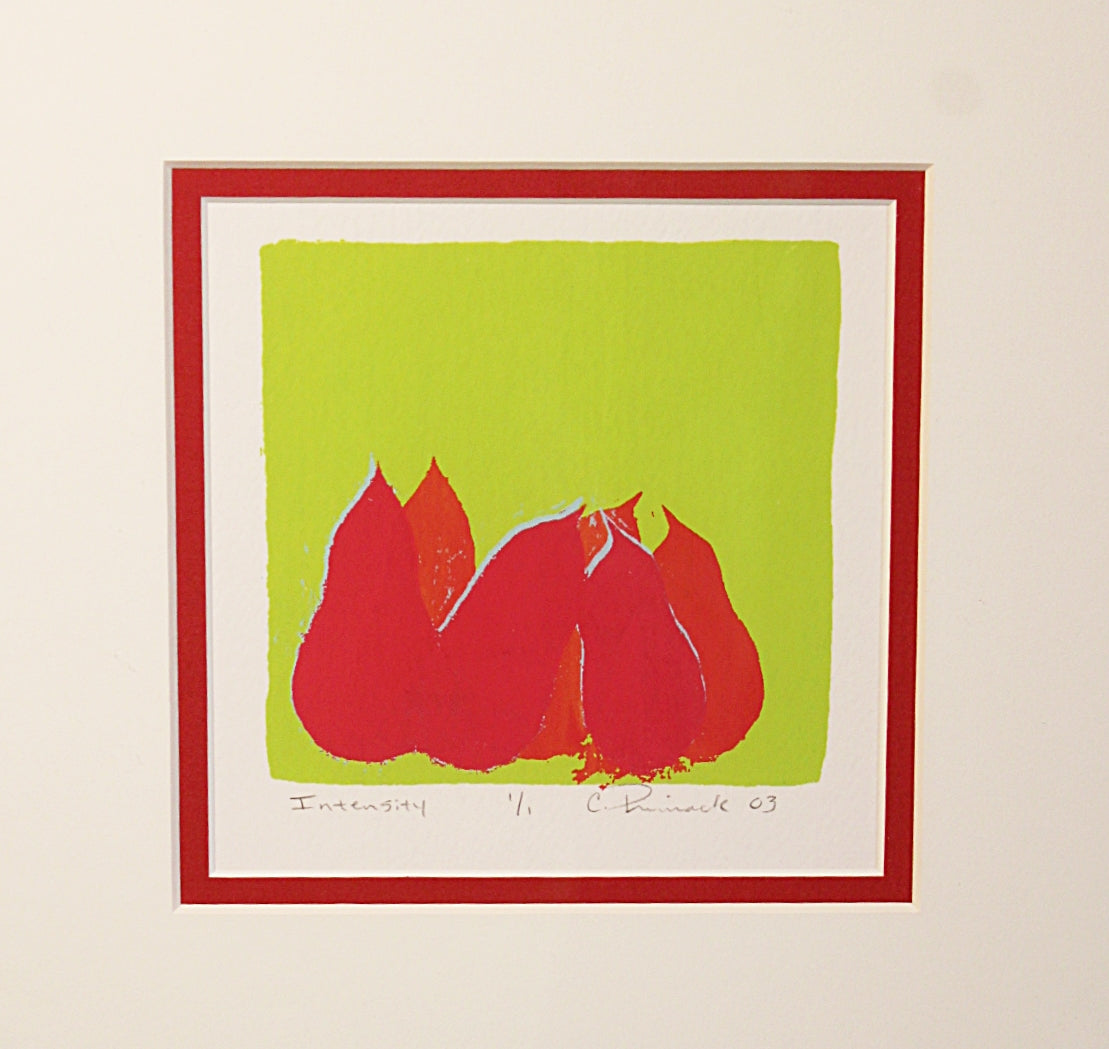 Oregon Artist Candace Primack Framed Print