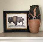 Terracotta Studio Art Pottery Vase