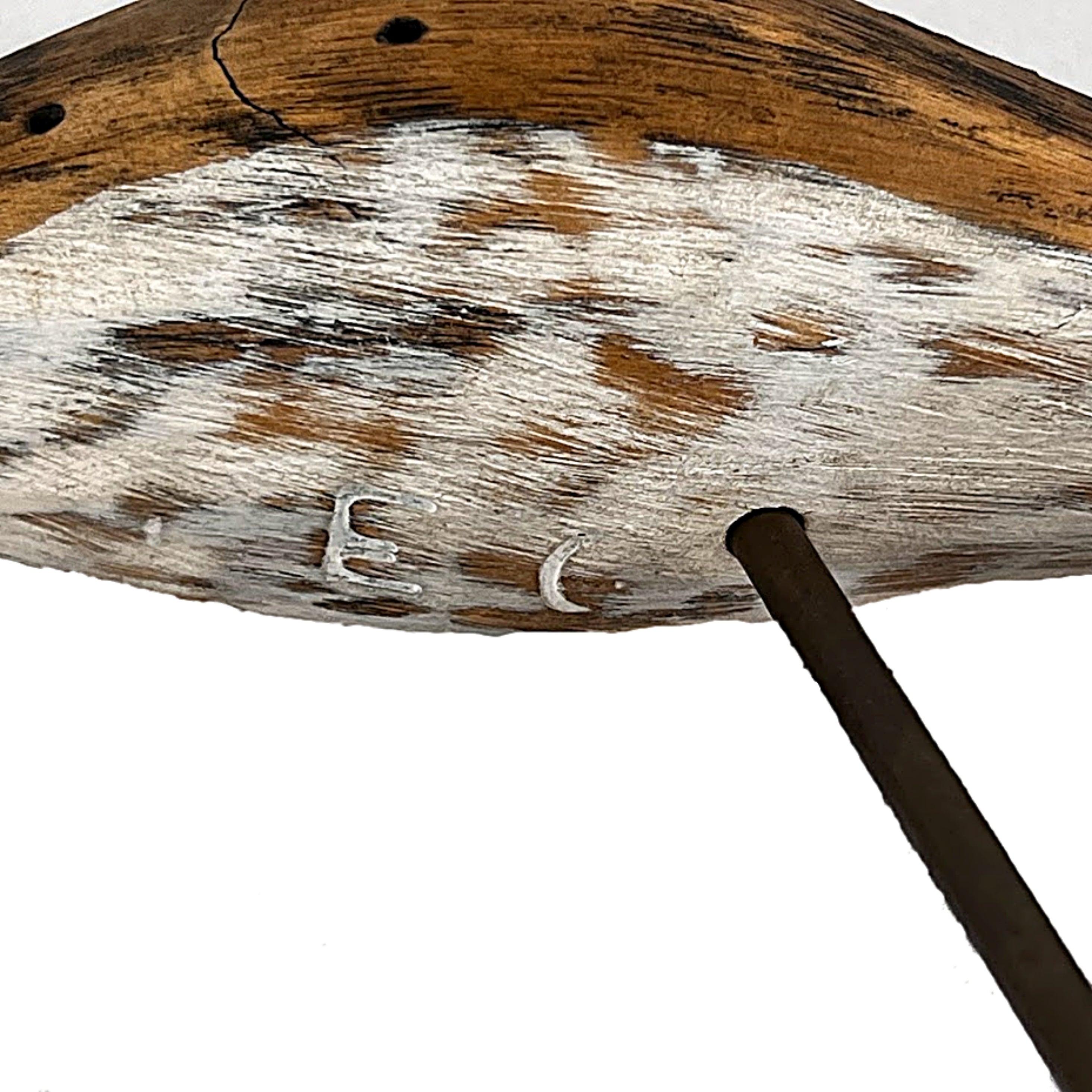 Carved Curlew on Stand by Alex Buderer