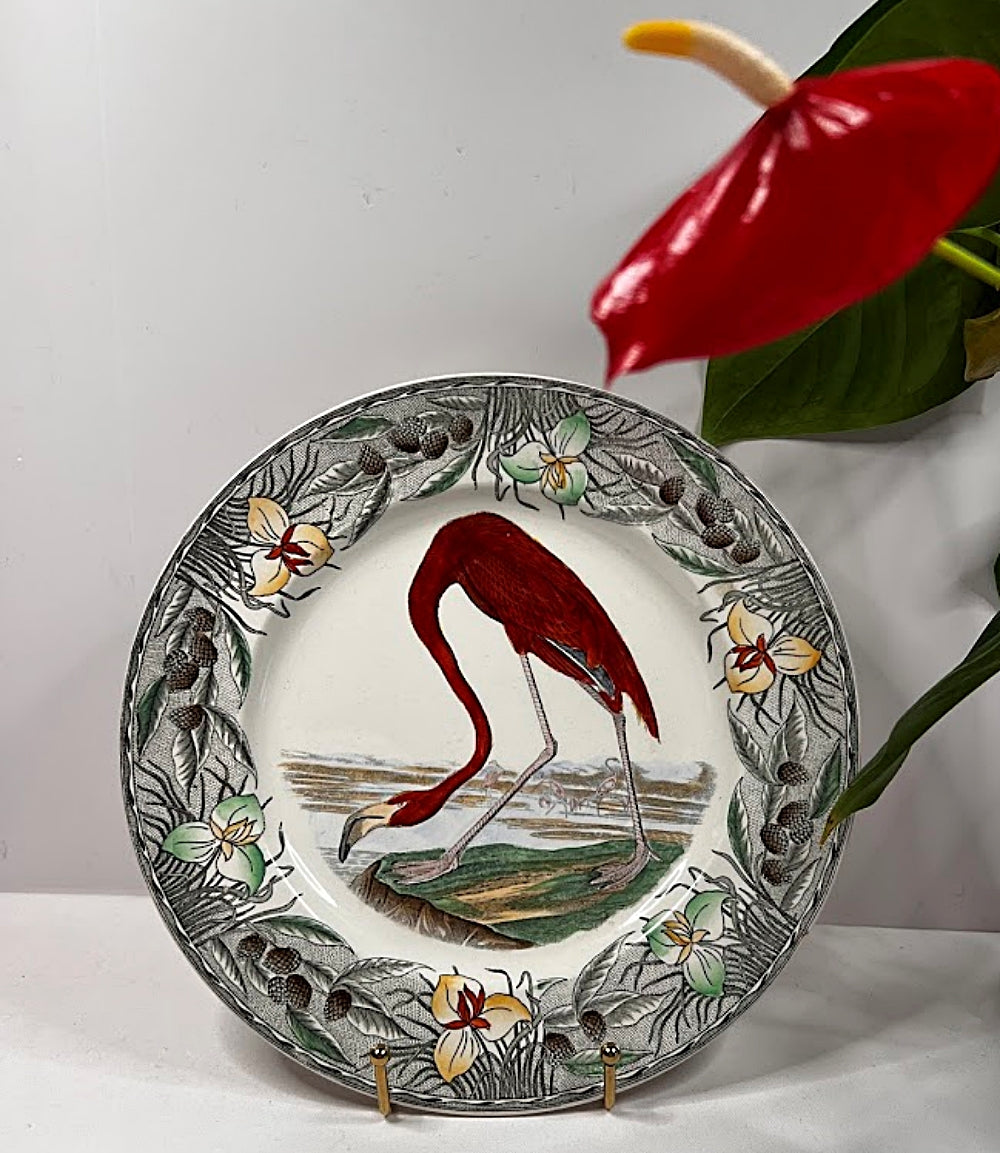 Vintage WILLIAM ADAMS England AUDUBON Flamingo Plate