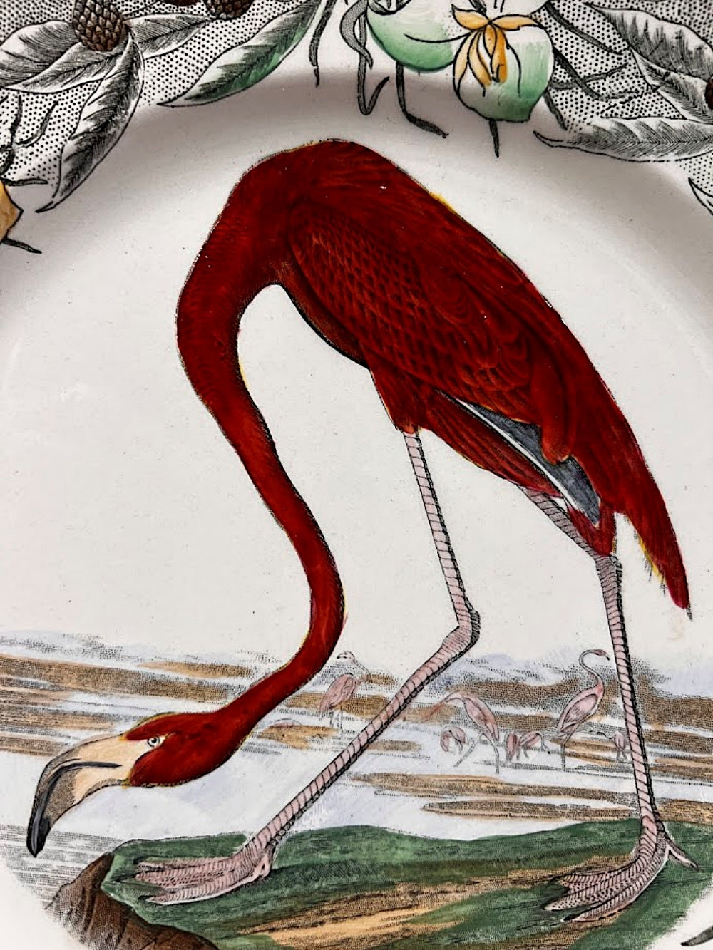 Vintage WILLIAM ADAMS England AUDUBON Flamingo Plate