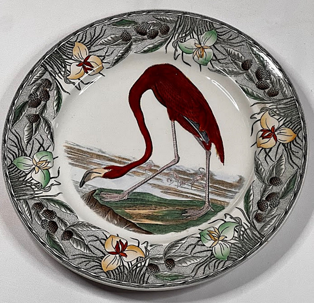 Vintage WILLIAM ADAMS England AUDUBON Flamingo Plate