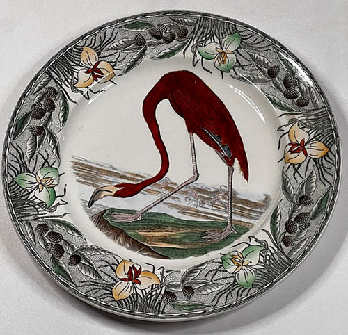 Antique Audubon Flamingo Plate 10 Inches