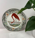 Antique Audubon Flamingo Plate 10 Inches