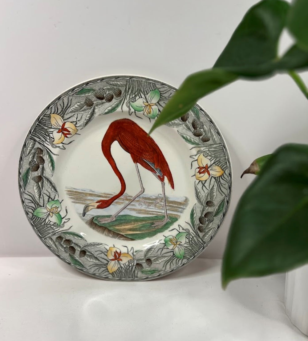 Antique Audubon Flamingo Plate 10 Inches