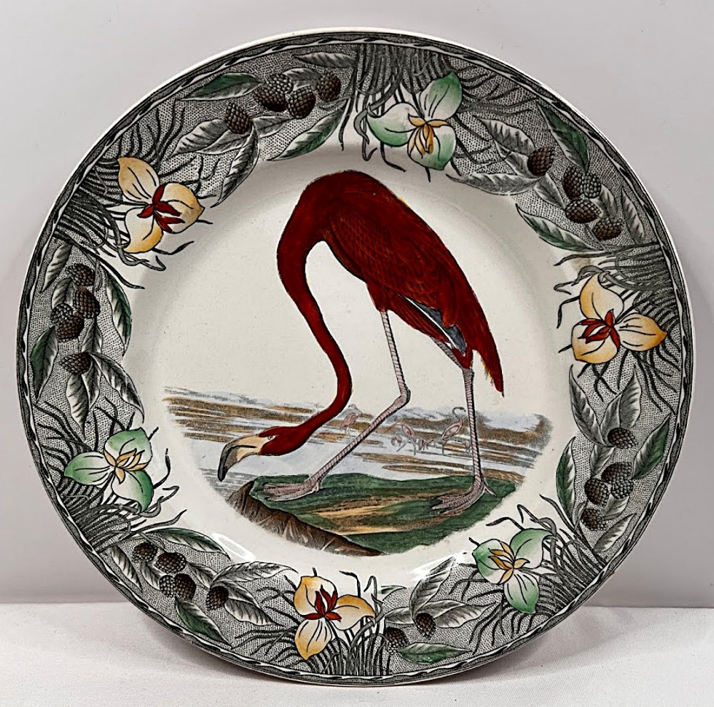 Vintage WILLIAM ADAMS England AUDUBON Flamingo Plate