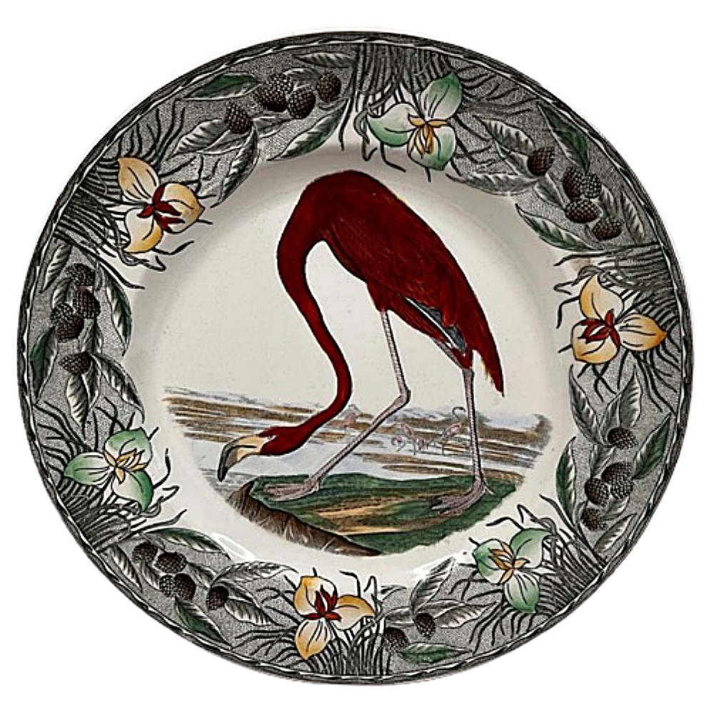 WILLIAM ADAMS England AUDUBON Flamingo Plate