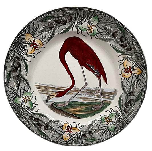 WILLIAM ADAMS England AUDUBON Flamingo Plate