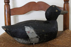 Lesser Scaup Working Duck Decoy Original Paint