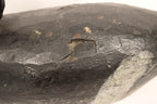 Lesser Scaup Working Duck Decoy Original Paint