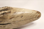 Vintage Wood Swan by Chris Boone
