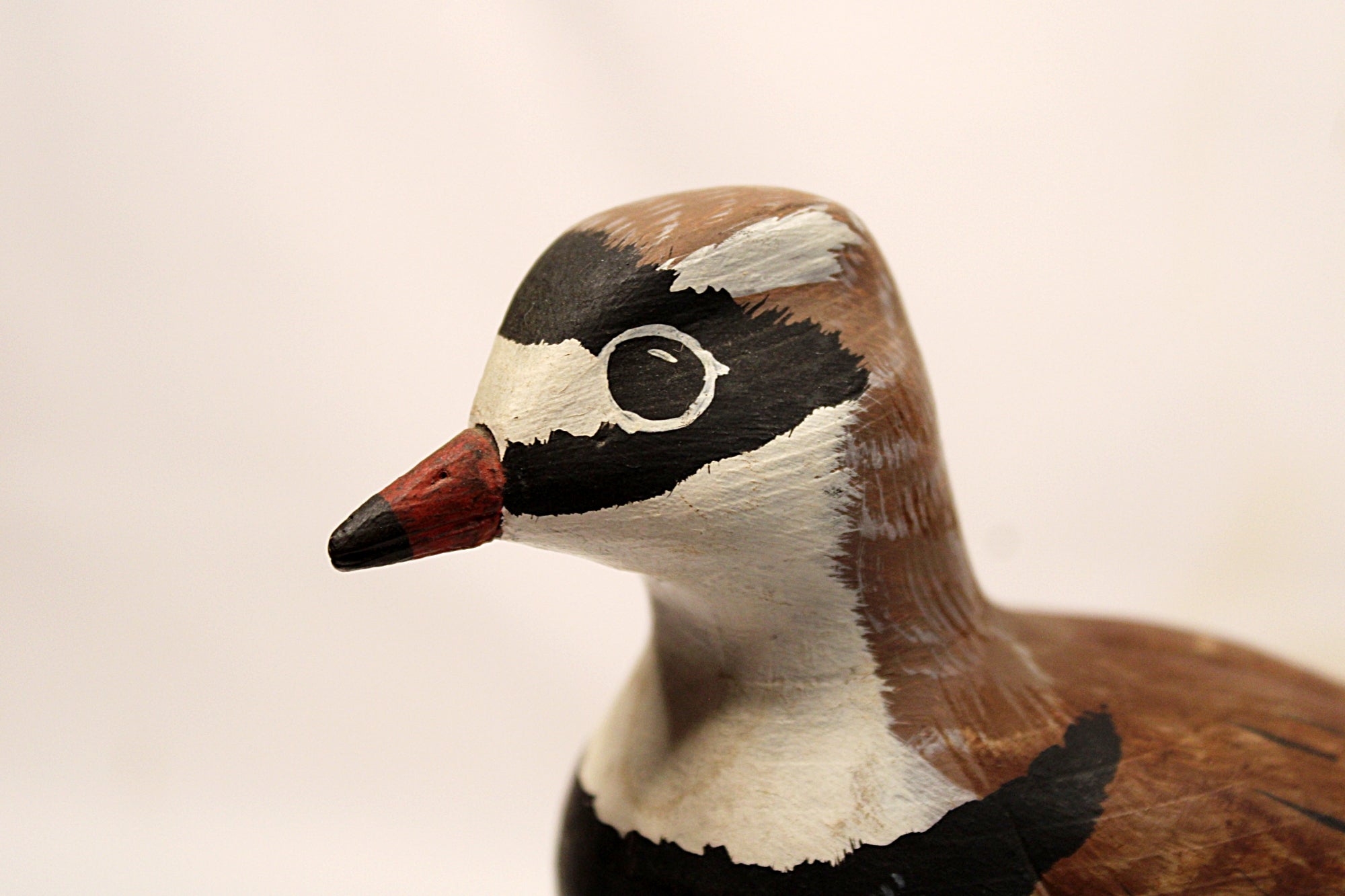Shorebird Decoy Semipalmated Plover Gregg Ewell Carving 1981 Delaware Head view closeup Left
