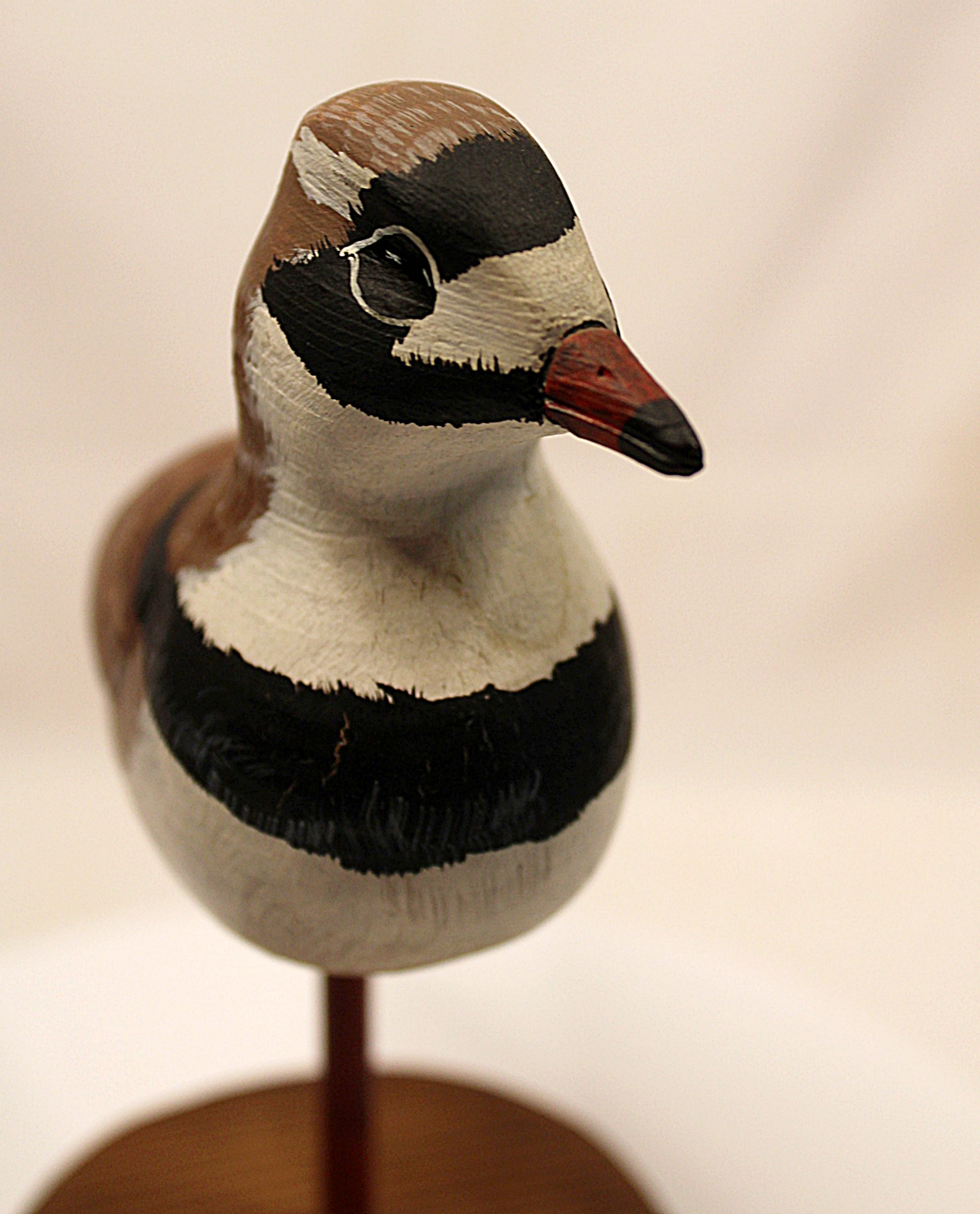 Shorebird Decoy Semipalmated Plover Gregg Ewell Carving 1981 Delaware Head view Looking Forward