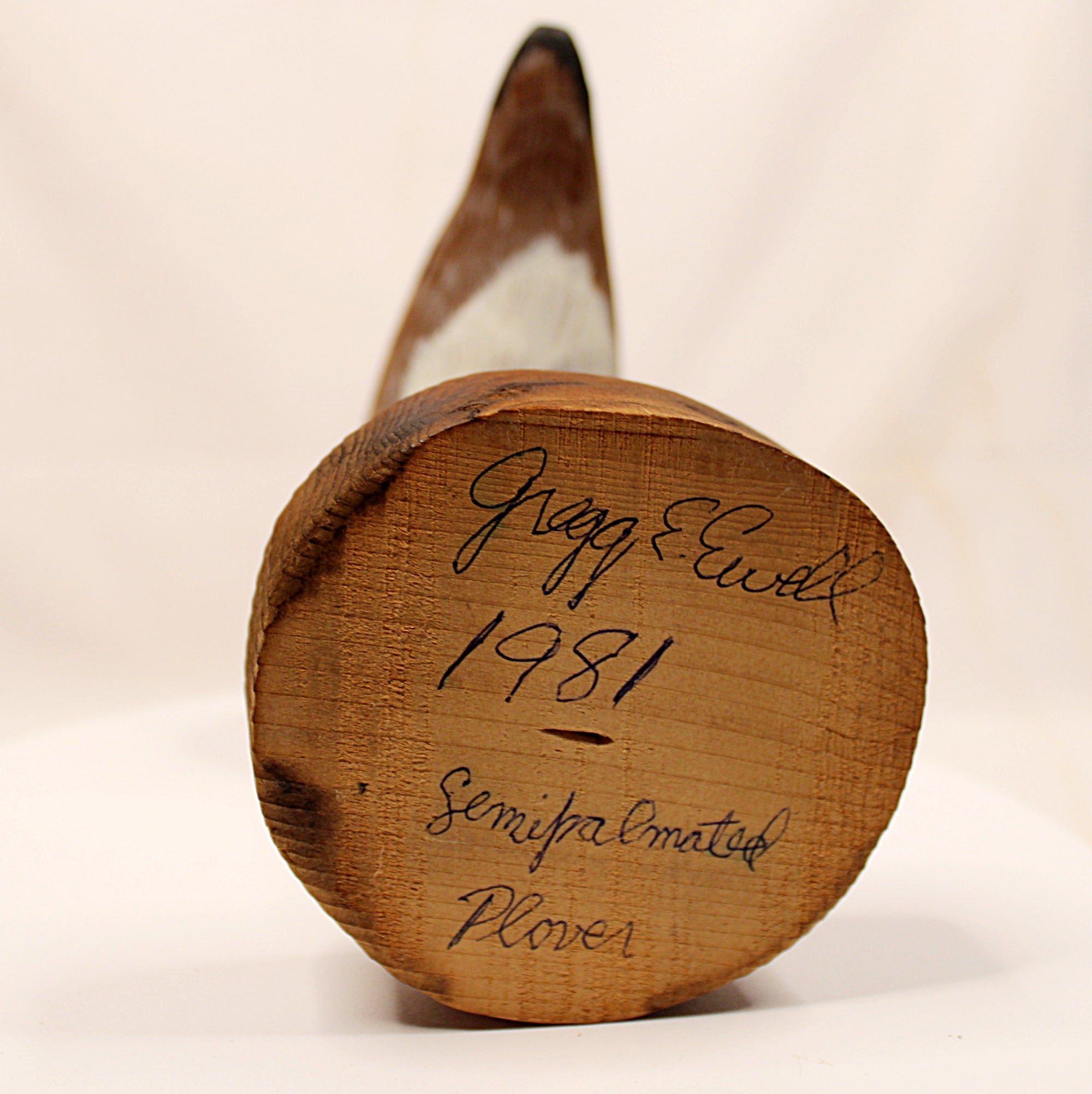 Shorebird Decoy Semipalmated Plover Gregg Ewell Carving 1981 Delaware Full Signed Bottom of Stand