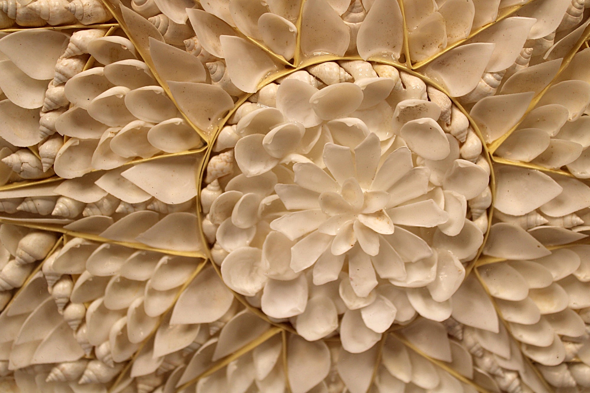 Sailor's Valentine Handmade with Seashells and Mahogany Closeup Center View