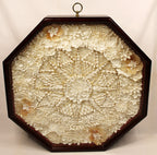 SAILOR'S VALENTINE Handmade with Seashells and Mahogany Full Front View