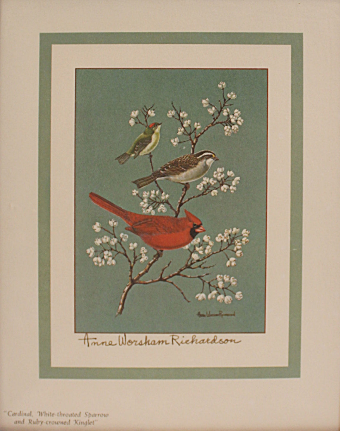 Illustration of birds on a branch with flowers, signed by Anna Worsam Richardson, shown without frame