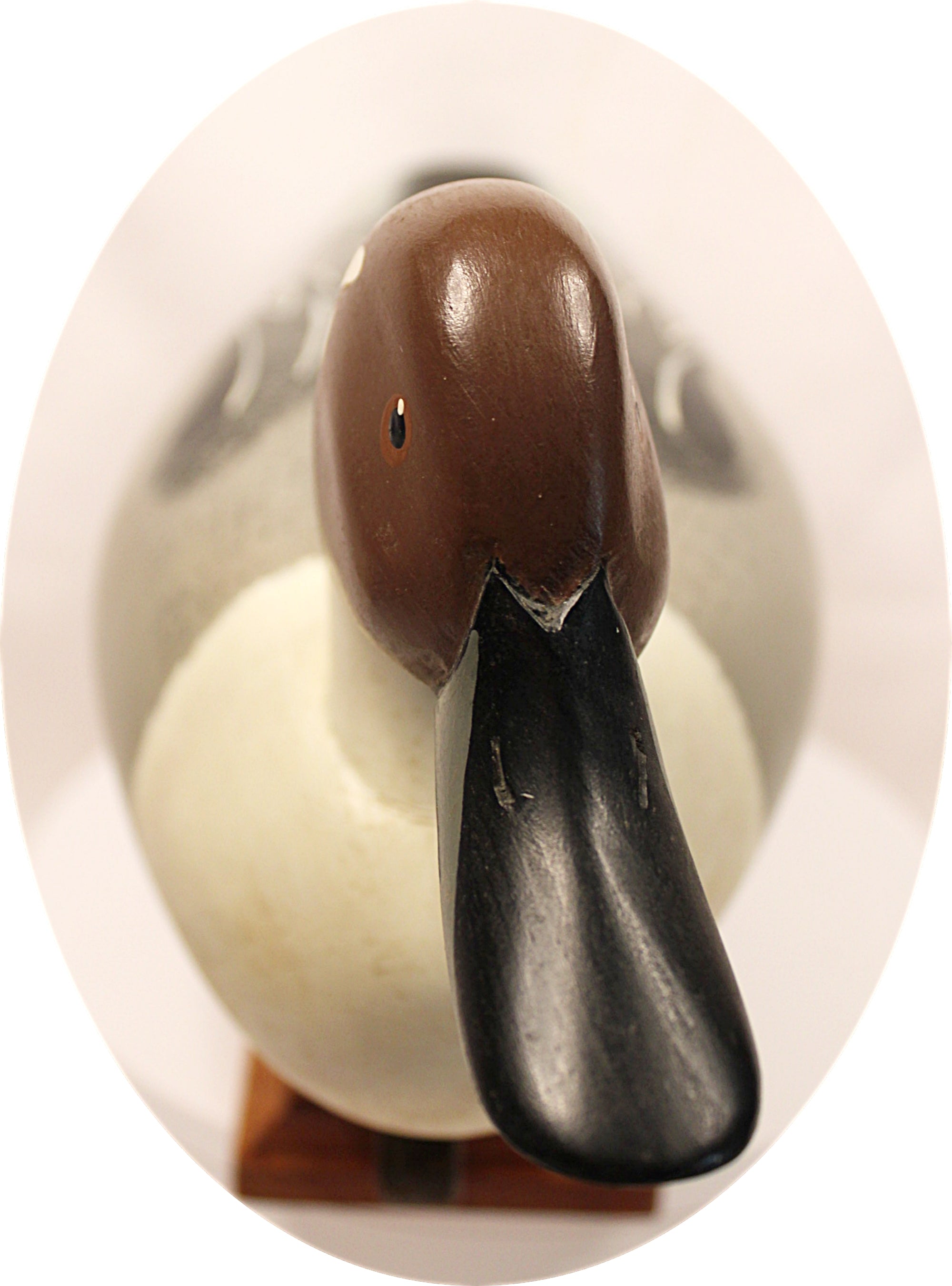 Pintail Drake Duck Decoy Jim Burtis Maryland 1994 Beak view closeup
