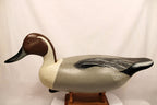 Duck decoy on a stand against a plain backgroundPintail Drake Duck Decoy Jim Burtis Maryland 1994