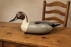 Decorative duck sculpture on a wooden table with a wooden chair in the background. Pintail Drake Duck Decoy Jim Burtis Maryland 1994
