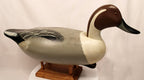 Duck decoy on a stand with a plain background Pintail Drake Duck Decoy Jim Burtis Maryland 1994